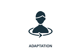 Facilité d'adaptation